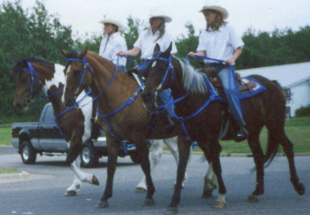 drillteamhyotlakesparade2005.jpg